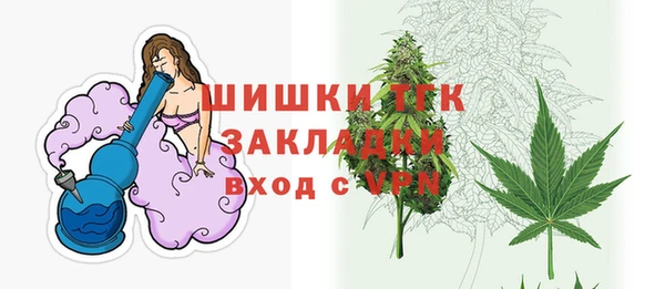 шишки Беломорск