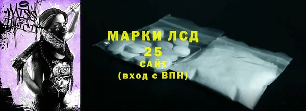 шишки Беломорск