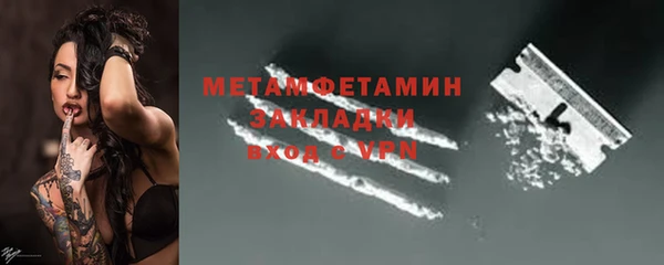 шишки Беломорск