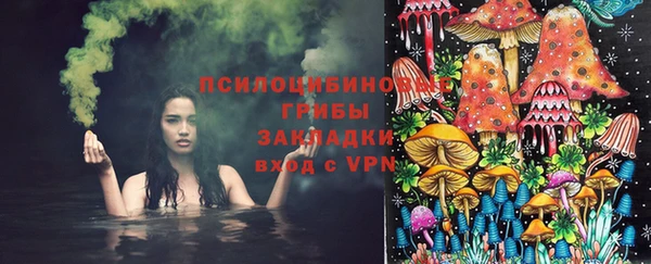 дурь Белоозёрский