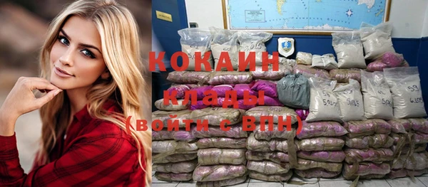 шишки Беломорск
