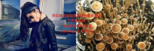 дурь Белоозёрский