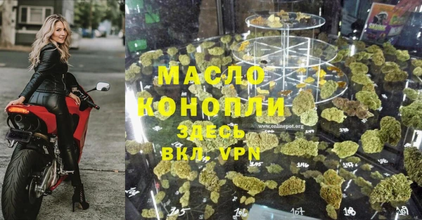шишки Беломорск