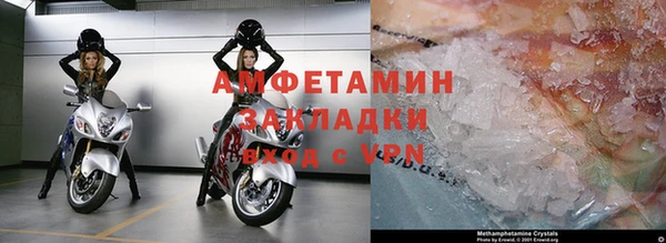 шишки Беломорск